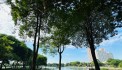 NGAY VÀ LUÔN - Chung cư 130 Nguyễn Đức Cảnh, View hồ Đền Lừ thơ mộng. DT khủng 95m SĐCC chỉ 3 tỷ 680 triệu